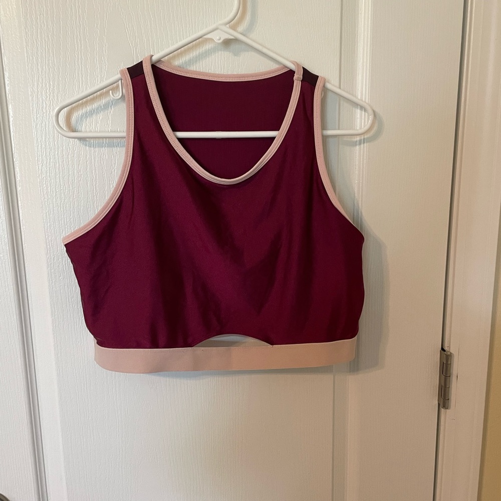 Fabletics Sports Bra